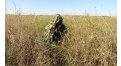Маскировочный халат Taganrog Кикимора – купить по цене 3550 руб. в интернет-магазине в городе Тольятти картинка 13