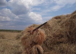 Маскировочная одежда для охоты в интернет-магазине в Тольятти, купить маскировочную сеть с доставкой картинка 28